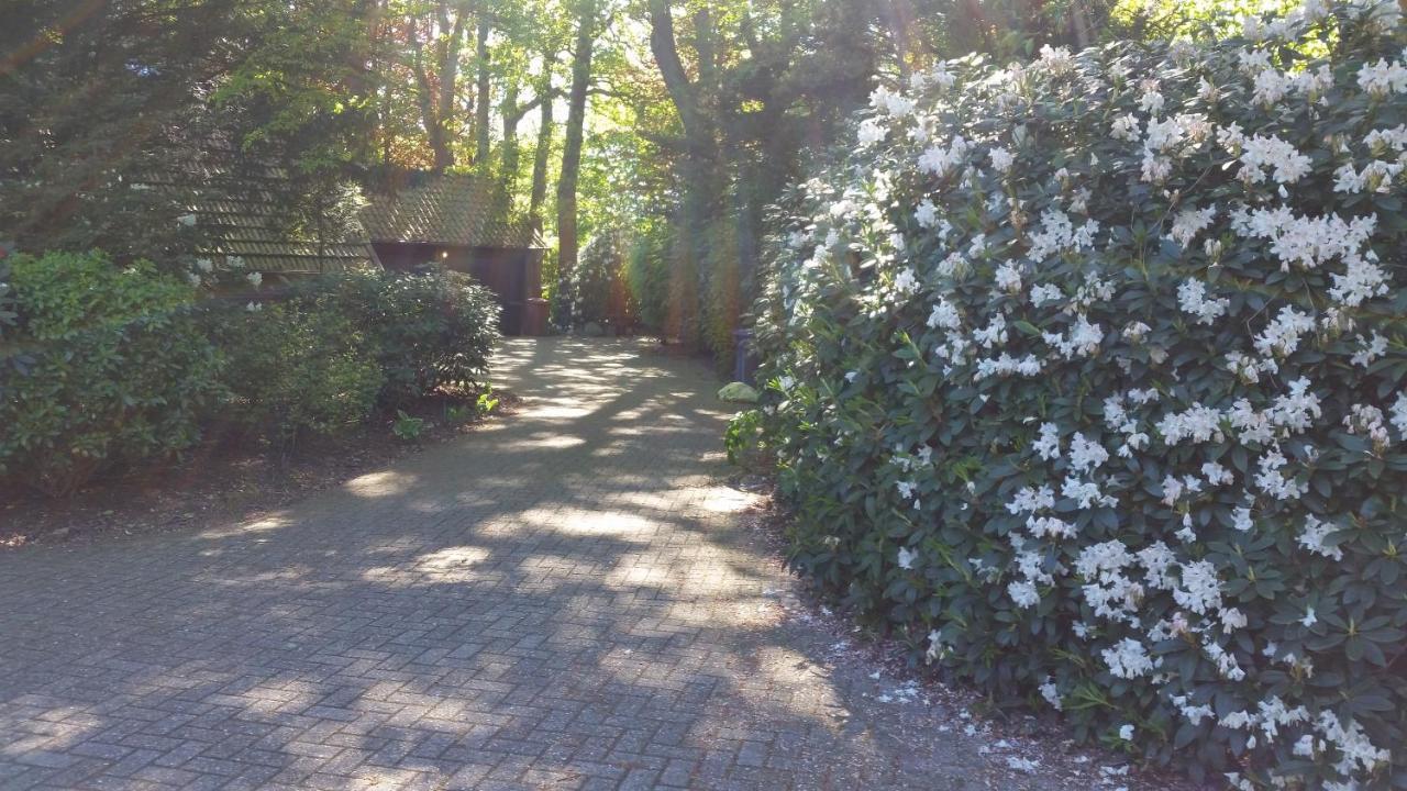 Ferienwohnung Morgensonne Westerstede Buitenkant foto