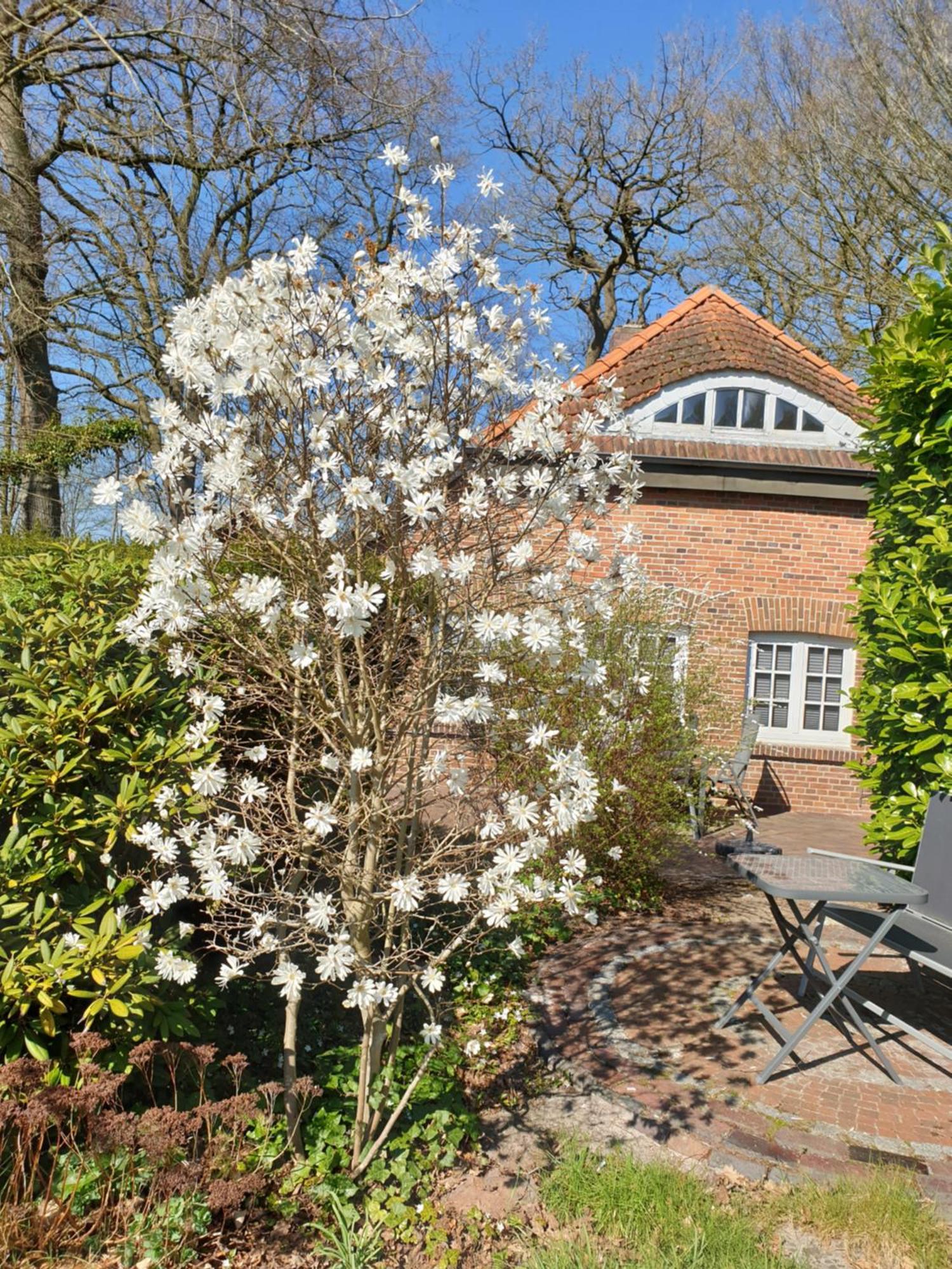 Ferienwohnung Morgensonne Westerstede Buitenkant foto